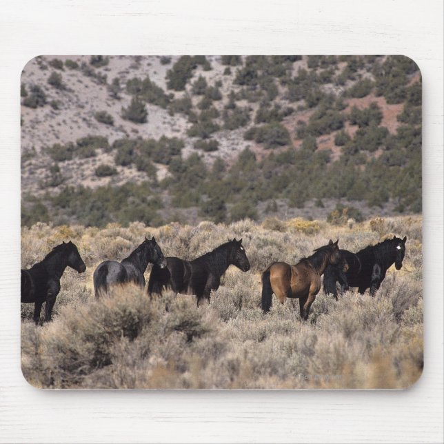 Wild Mustang Horses in the Desert 2 Mouse Mat (Front)