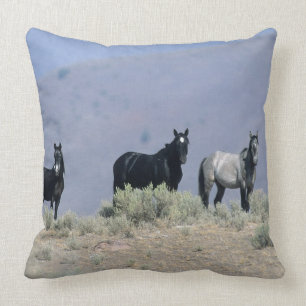 Wild Mustang Horses in the Desert 3 Cushion