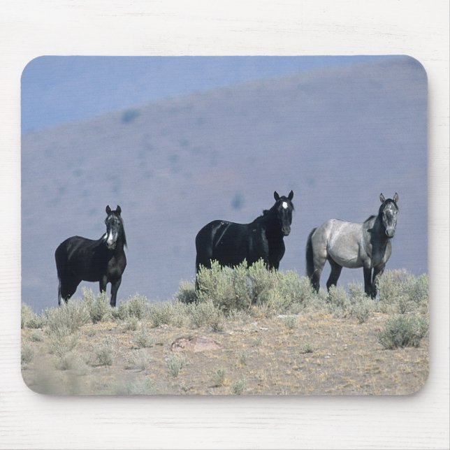 Wild Mustang Horses in the Desert 3 Mouse Mat (Front)