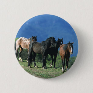 Wild Mustang Horses in the Mountains 6 Cm Round Badge