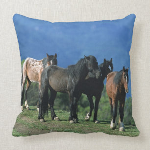 Wild Mustang Horses in the Mountains Cushion