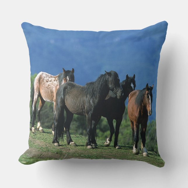 Wild Mustang Horses in the Mountains Cushion (Front)