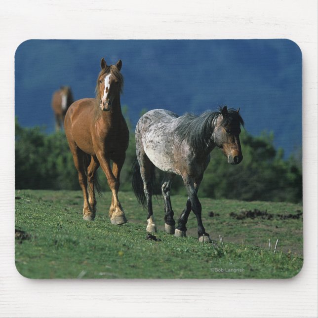 Wild Mustang Horses Mouse Mat (Front)