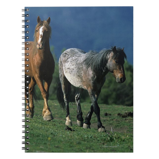Wild Mustang Horses Notebook (Front)