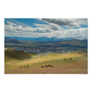 Wild Mustang Horses of Carson City, Nevada Photo Print