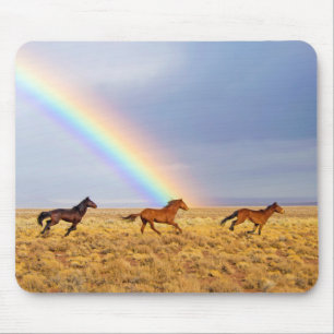 Wild Mustang Horses Running and Rainbow Mouse Mat