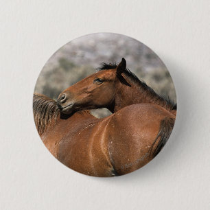 Wild Mustang Horses Touching 6 Cm Round Badge