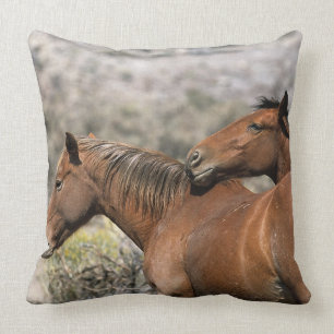 Wild Mustang Horses Touching Cushion