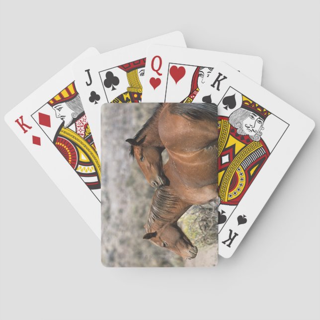 Wild Mustang Horses Touching Playing Cards (Back)