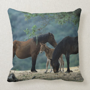 Wild Mustang Mare & Foal Cushion