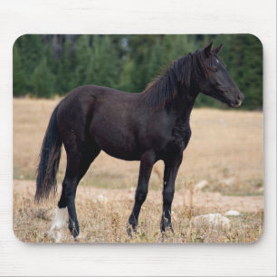 Wild Mustang Mouse Mat