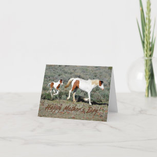 Wild Mustang Photo Mother's Day Card