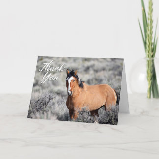 Wild Mustang Photo Thank You Card