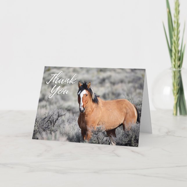 Wild Mustang Photo Thank You Card (Front)