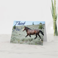 Wild Mustang Photo Thank You Card