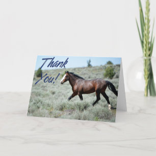 Wild Mustang Photo Thank You Card