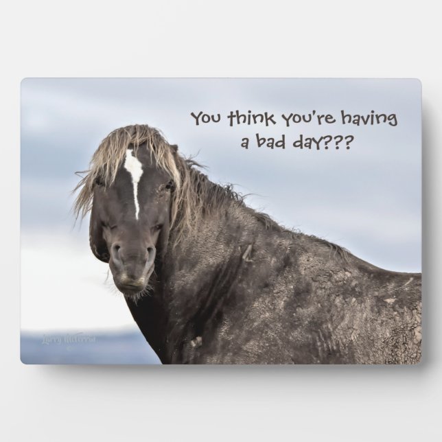 Wild Mustang Plaque (Front)