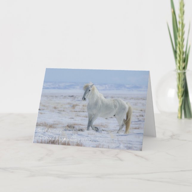 Wild Mustang Seasonal Card (Front)