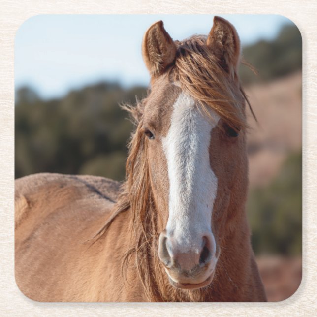 Wild Mustang  Square Paper Coaster (Front)