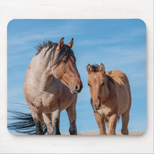 Wild Mustang Stallion and Wild Horse Foal Mouse Mat