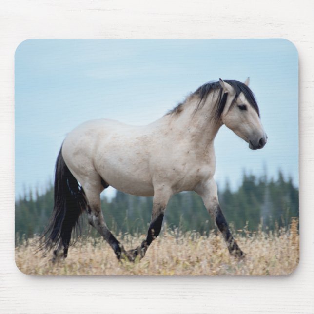 Wild Mustang Stallion Mouse Mat (Front)