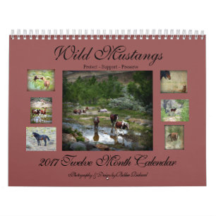 Wild Mustangs 2017 Calendar