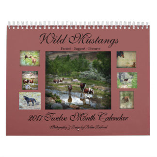 Wild Mustangs 2017 Calendar