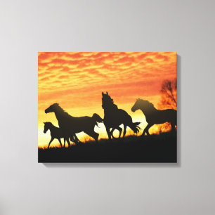 Wild Mustangs Canvas Print