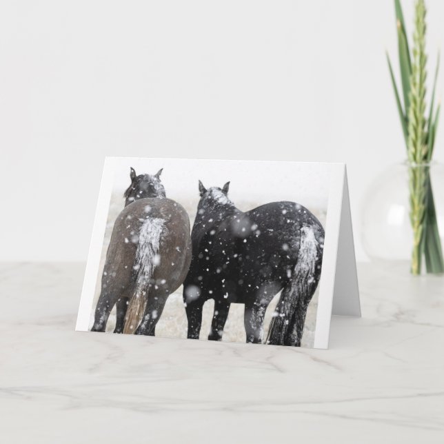 Wild Mustangs in the Snow card (Front)