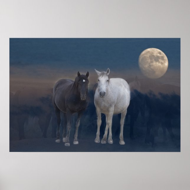 Wild Mustangs of the Night Poster (Front)