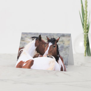 Wild Mustangs of the West Card