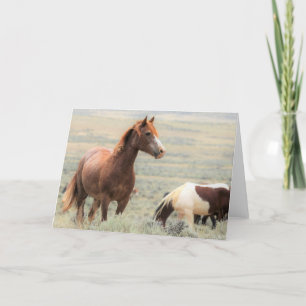 Wild Mustangs of the West Card