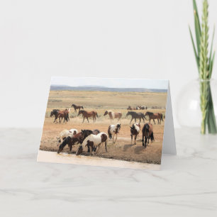 Wild Mustangs of the West Card