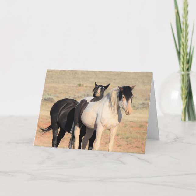 Wild Mustangs of the West Card (Front)