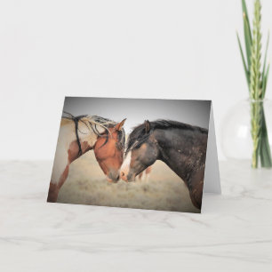 Wild Mustangs of the West Card