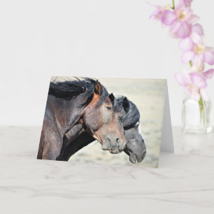 Wild Mustangs of the West Card