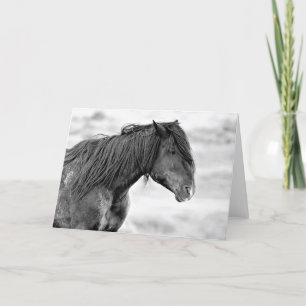 Wild Mustangs of the West Card