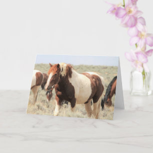 Wild Mustangs of the West Card