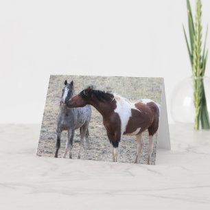 Wild Mustangs of the West Card