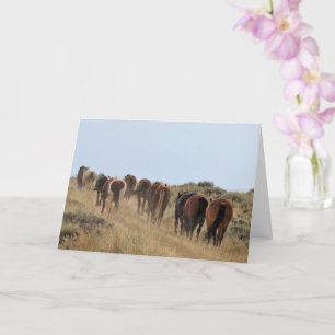 Wild Mustangs of the West Card