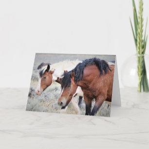 Wild Mustangs of the West Card