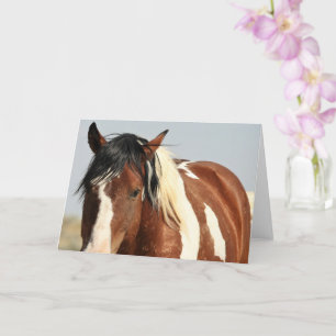 Wild Mustangs of the West Card