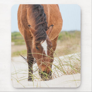 Wild Mustangs or Banker Horses Mouse Mat