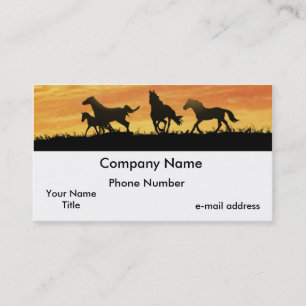 Wild Mustangs Sunset Business Card