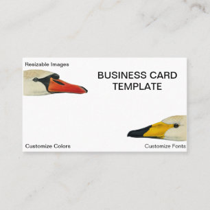 Wild Nature Faces of a Swan  Business Card