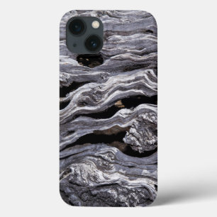 Wild Olive Tree Great Karoo, South Africa iPhone 13 Case