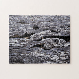 Wild Olive Tree   Great Karoo, South Africa Jigsaw Puzzle