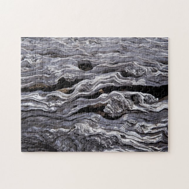 Wild Olive Tree | Great Karoo, South Africa Jigsaw Puzzle (Horizontal)