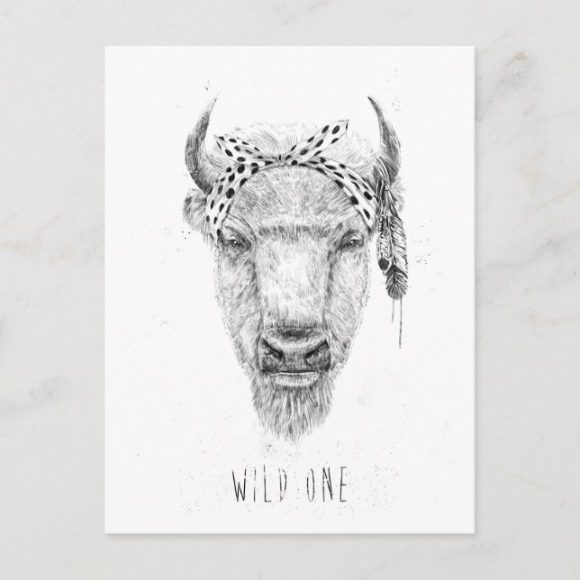 Wild one postcard (Front)