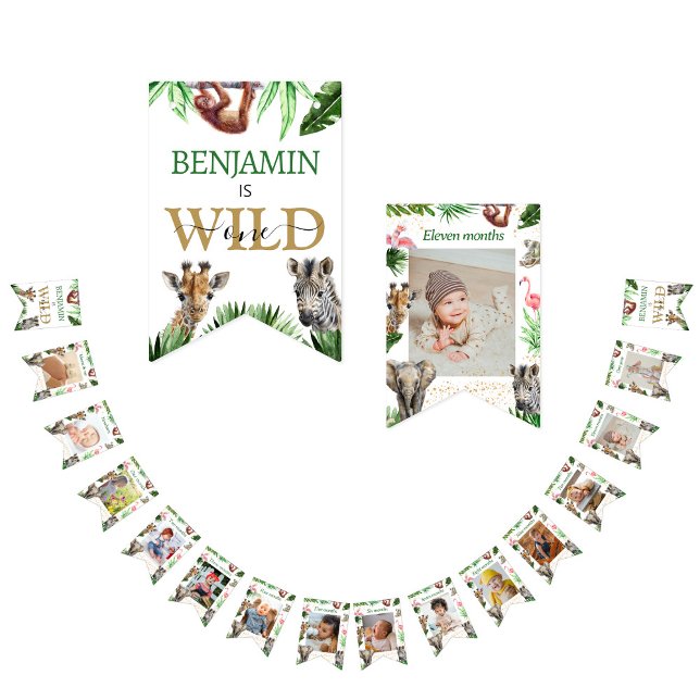 Wild One Safari Animals Boy's 1st Birthday Bunting (Creator Uploaded)